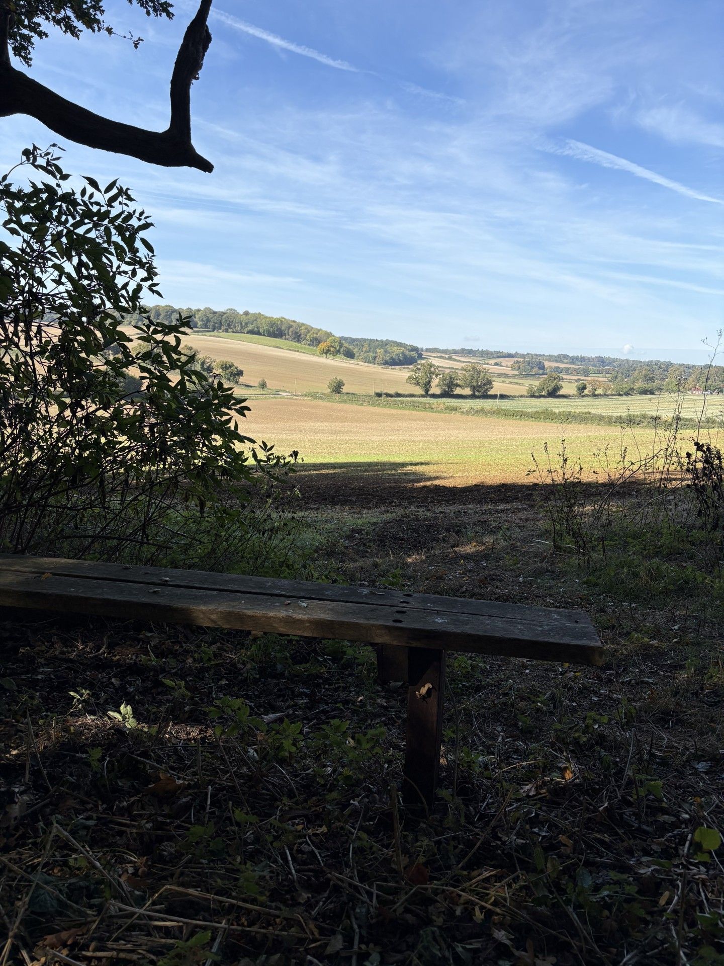 bench view